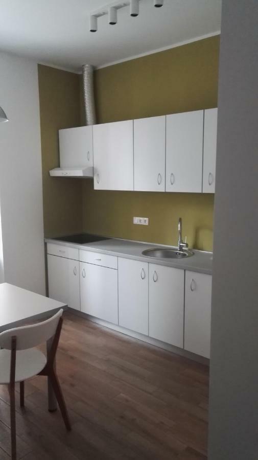 Bajta Na Obzidju Apartment Maribor Ngoại thất bức ảnh